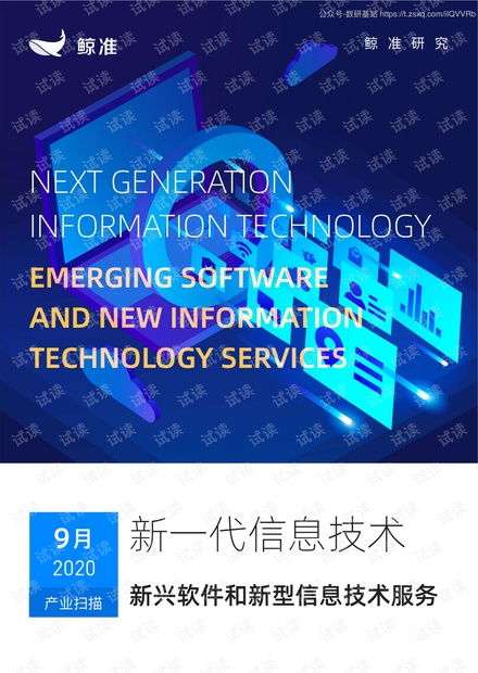 新一代信息技術產(chǎn)業(yè) 新興軟件與新型信息技術服務發(fā)展趨勢分析（2020）